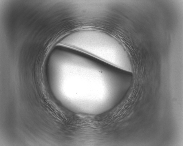 X0000068820289200605050949