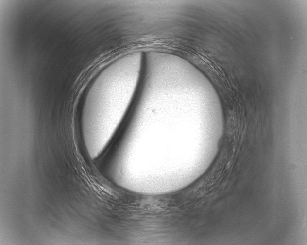 X0000068820290200605050949