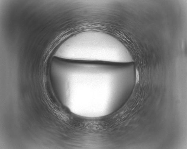 X0000068820291200605050949