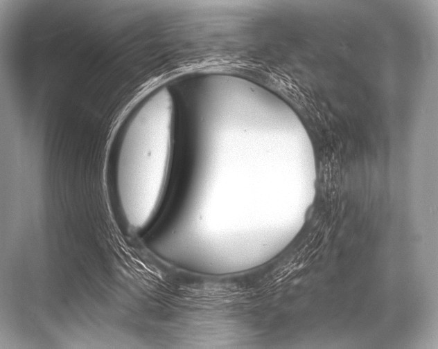 X0000068820292200605050949