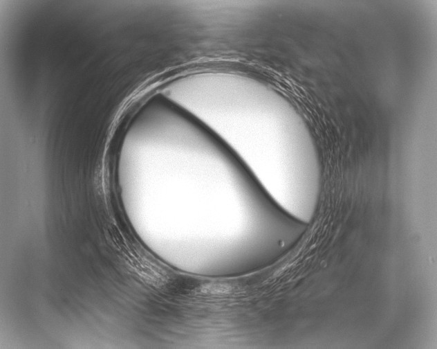 X0000068820294200605050949