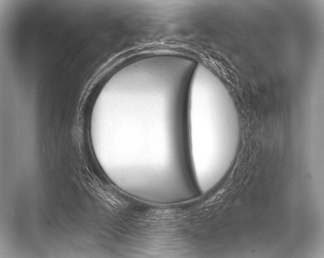 X0000068820295200605050949