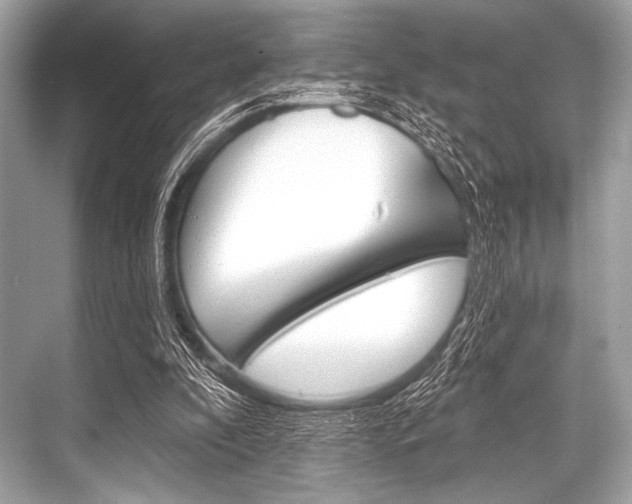 X0000068820296200605050949