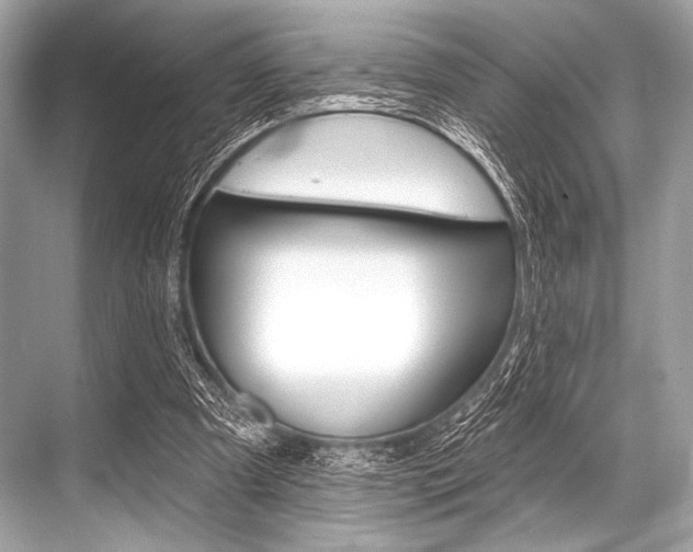 X0000068820297200605050949