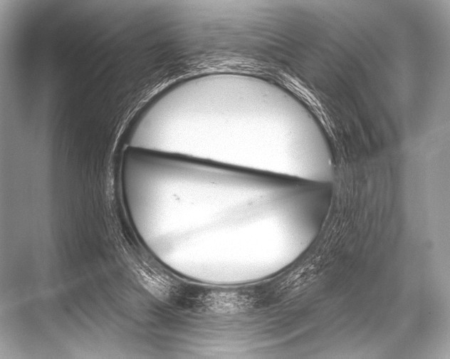 X0000068820298200605050949