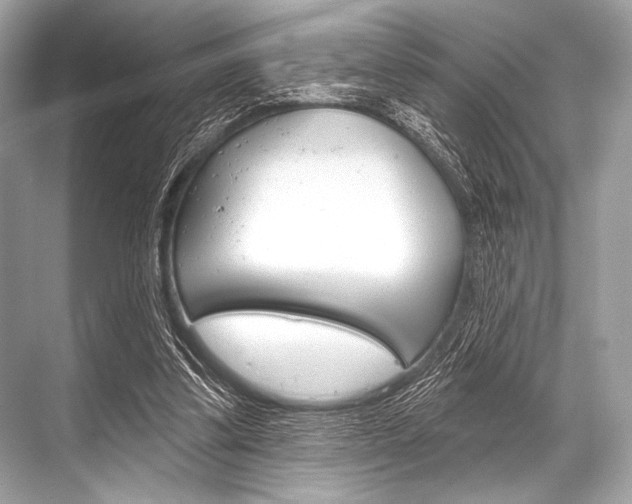 X0000068820299200605050949