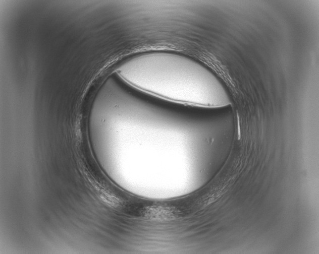 X0000068820300200605050949