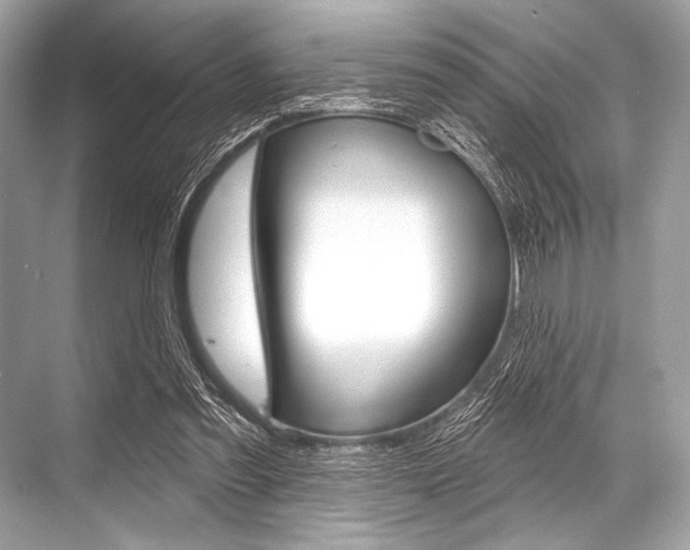 X0000068820301200605050949