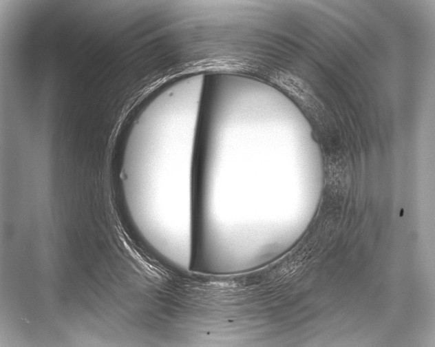 X0000068820302200605050949