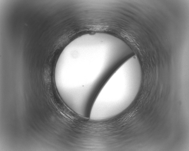 X0000068820303200605050949