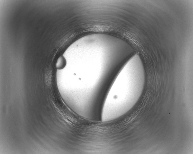 X0000068820304200605050949