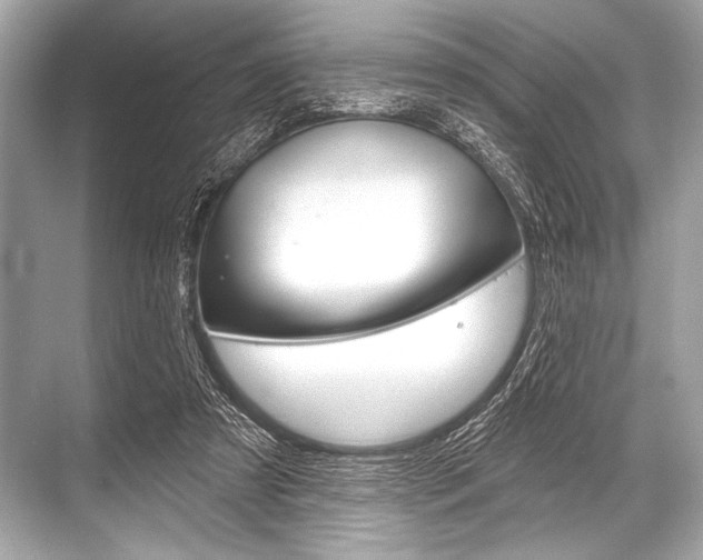 X0000068820305200605050949