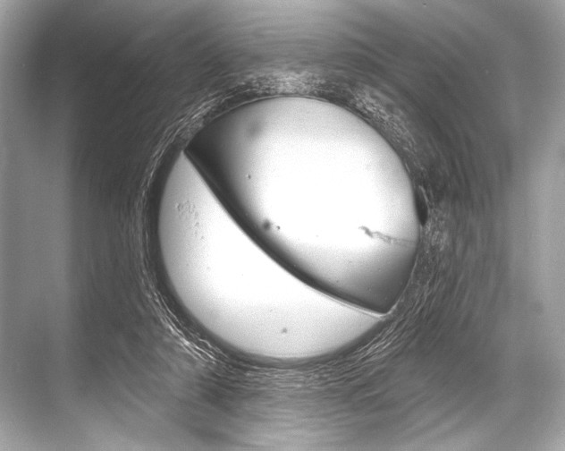 X0000068820306200605050949