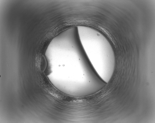 X0000068820307200605050949