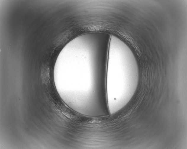 X0000068820308200605050949