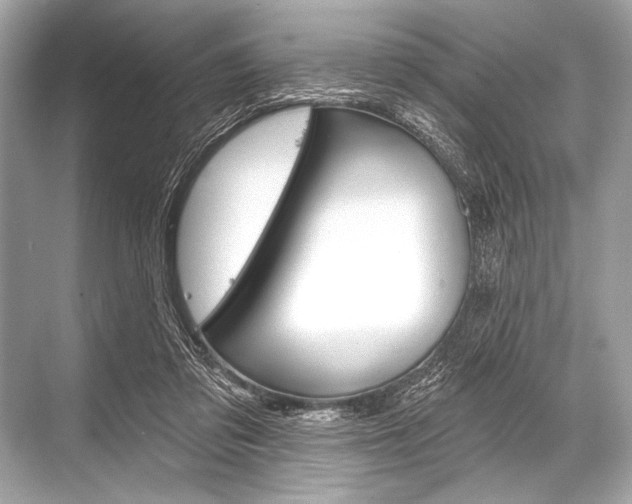 X0000068820309200605050949