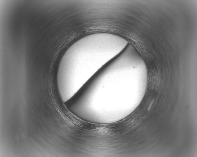 X0000068820310200605050949