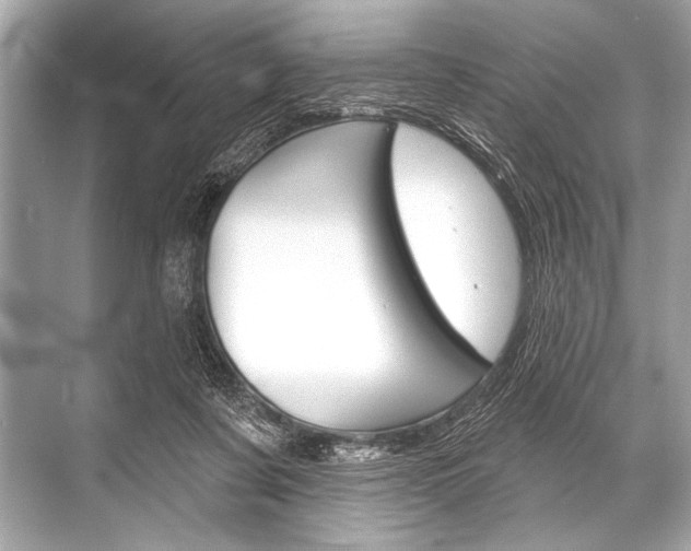 X0000068820311200605050949