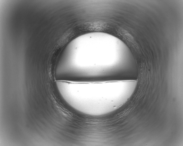 X0000068820312200605050949