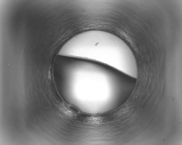 X0000068820313200605050949