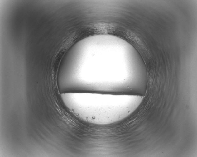 X0000068820314200605050949