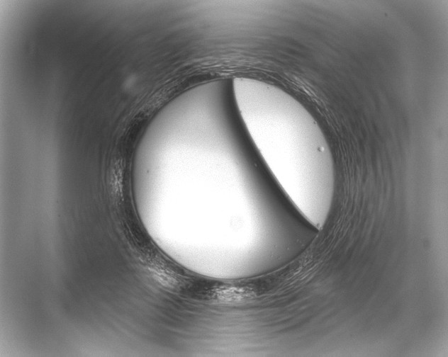 X0000068820315200605050949