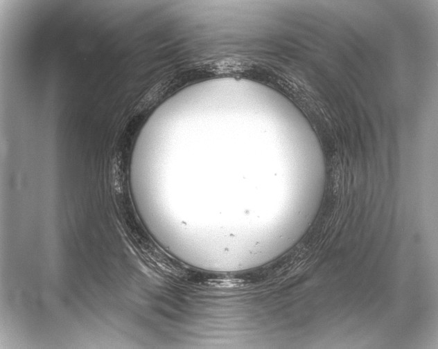 X0000068820316200605050949