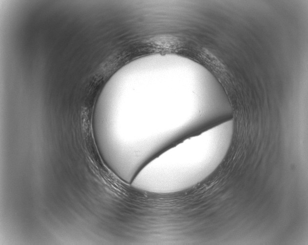 X0000068820318200605050949