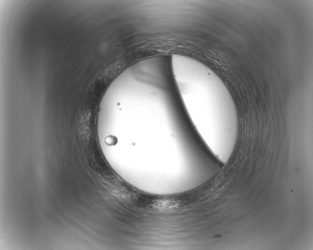 X0000068820319200605050949