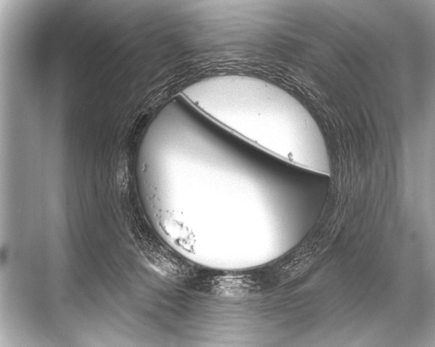 X0000068820320200605050949