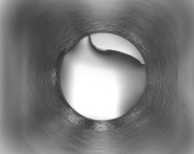 X0000068820321200605050949