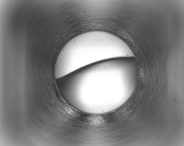 X0000068820322200605050949