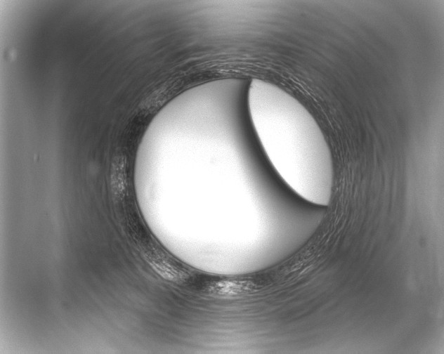 X0000068820323200605050949