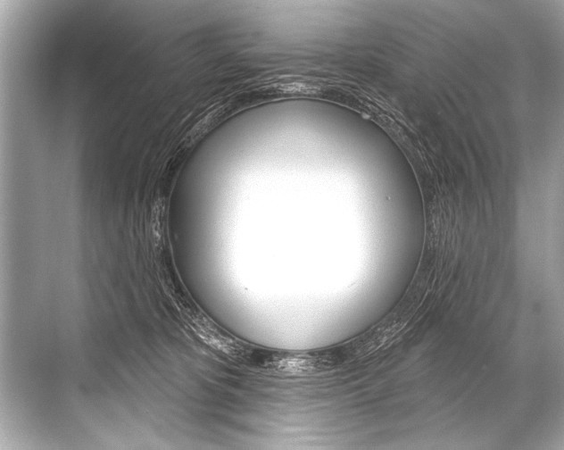 X0000068820325200605050949