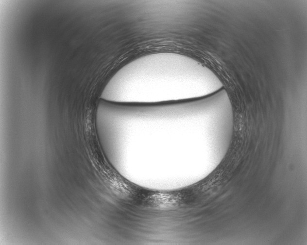 X0000068820326200605050949