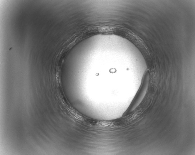 X0000068820329200605050949