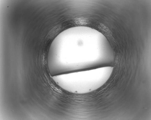 X0000068820330200605050949