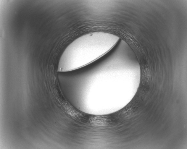 X0000068820331200605050949