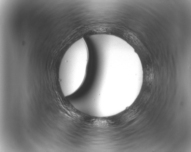 X0000068820332200605050949