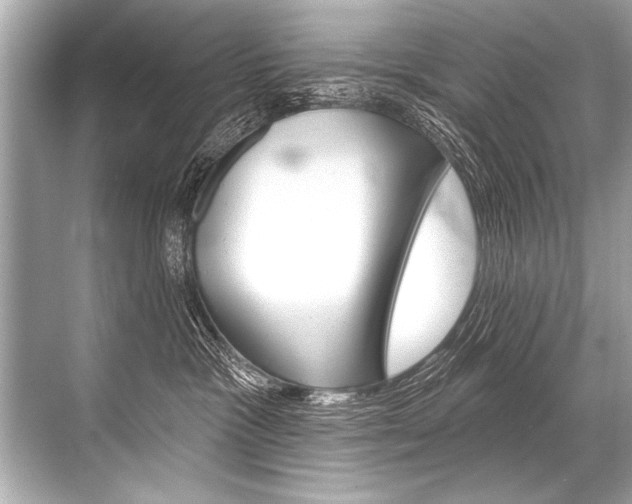 X0000068820333200605050949