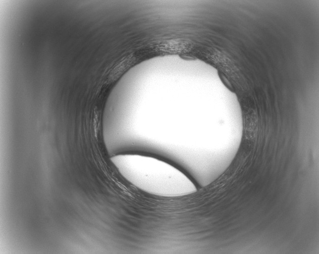 X0000068820334200605050949