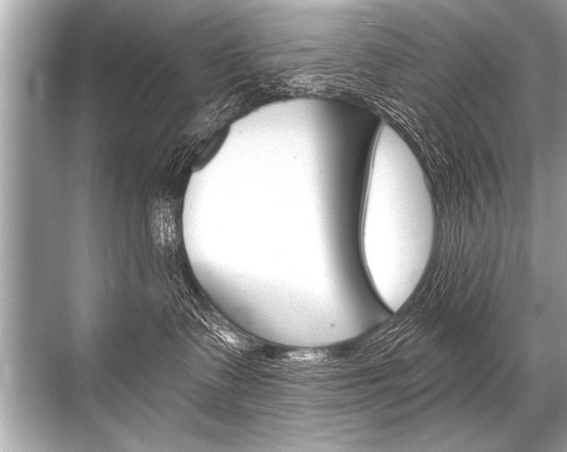 X0000068820335200605050949