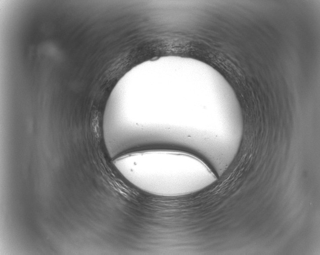 X0000068820336200605050949