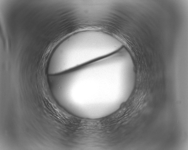 X0000068820337200605050948