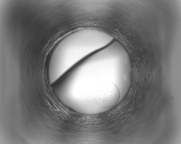 X0000068820338200605050948