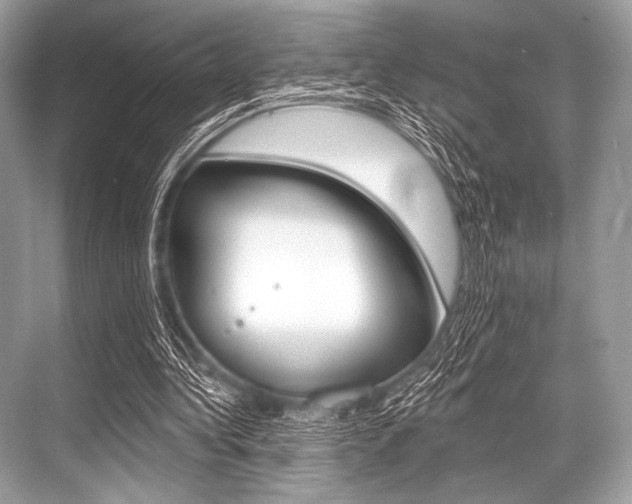 X0000068820340200605050948