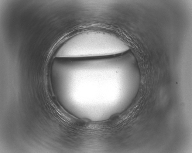 X0000068820341200605050948