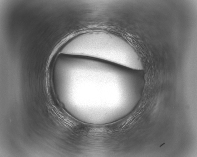 X0000068820342200605050948