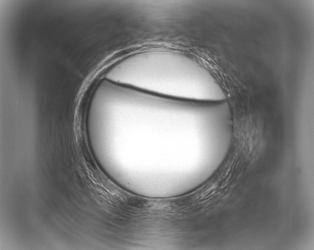 X0000068820343200605050948