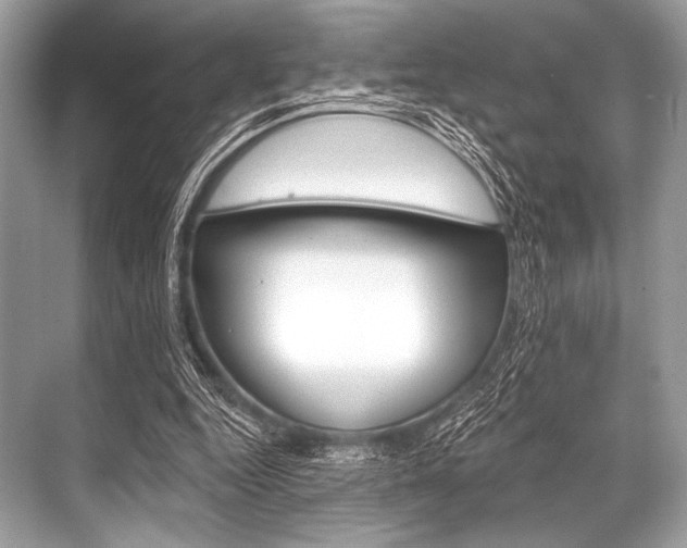 X0000068820344200605050948